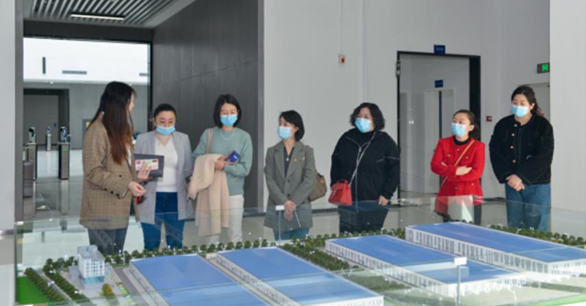 山東傳媒職業(yè)學(xué)院電商直播教師團隊一行蒞臨博科集團交流座談
