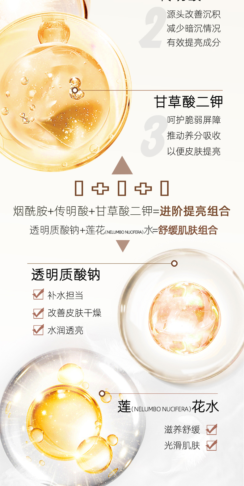 煙酰胺棕色---副本-拷貝_03.jpg